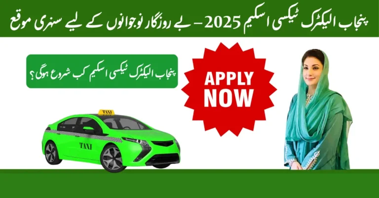 Punjab Electric Taxi Scheme 2025