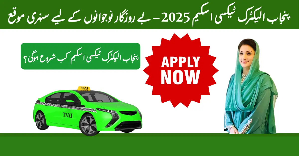 Punjab Electric Taxi Scheme 2025