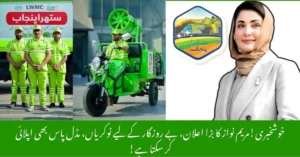 Suthra Punjab Program 2025 Progress Update on Cleanliness and Waste Management