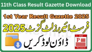 Multan Board 11th Class Result 2025 Gazette Download PDF