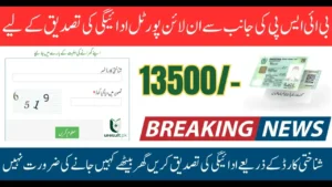 8171 Portal Latest Update Verify Your Benazir Kafalat Rs. 13,500 Payment Easily
