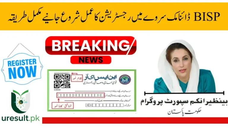 BISP Dynamic Survey 2025